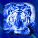 tiger live wallpaper android application logo